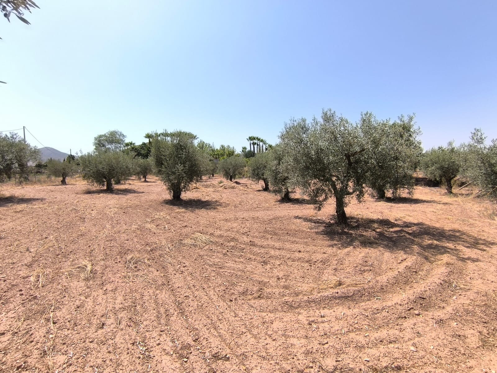 Bedroom in villa for sale in Jumilla