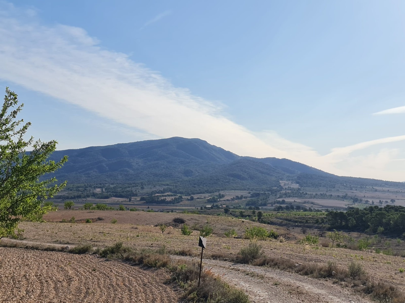 Exterior view in land for sale in Raspay