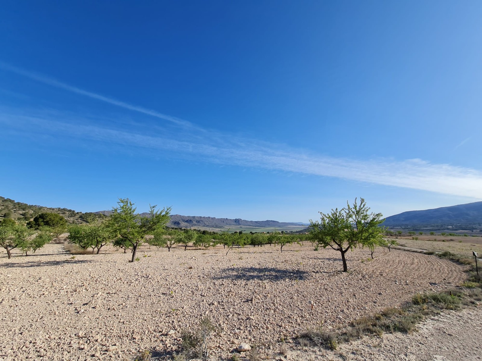 Living room in land for sale in Raspay