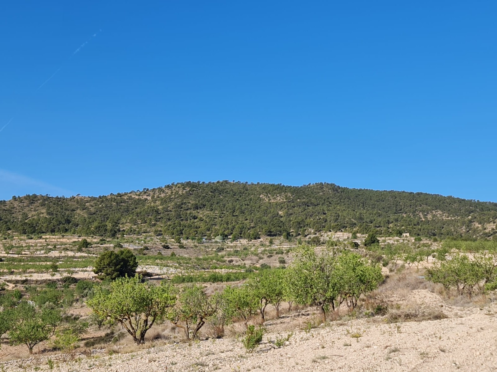 Exterior view in land for sale in Raspay
