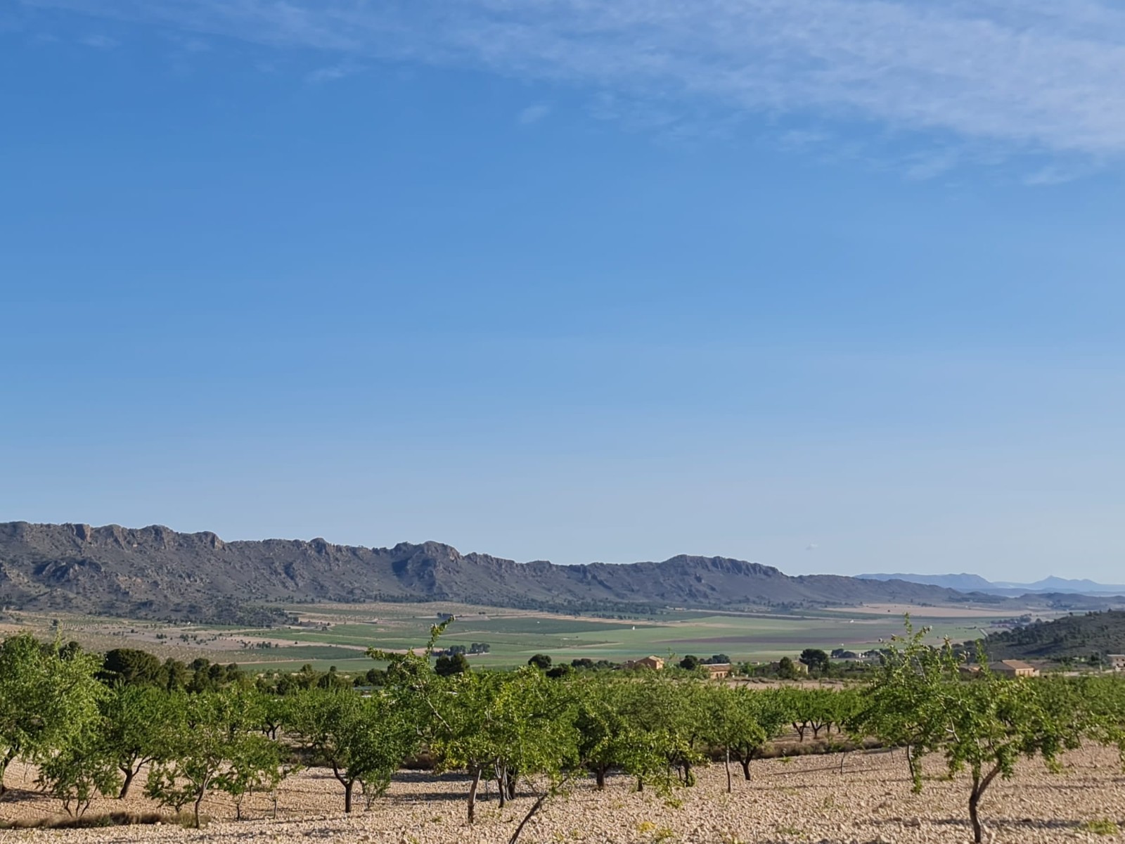 Explore the boundless possibilities of this vast plot of land nestled in the picturesque village of