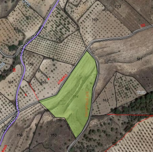 Explore the boundless possibilities of this vast plot of land nestled in the picturesque village of