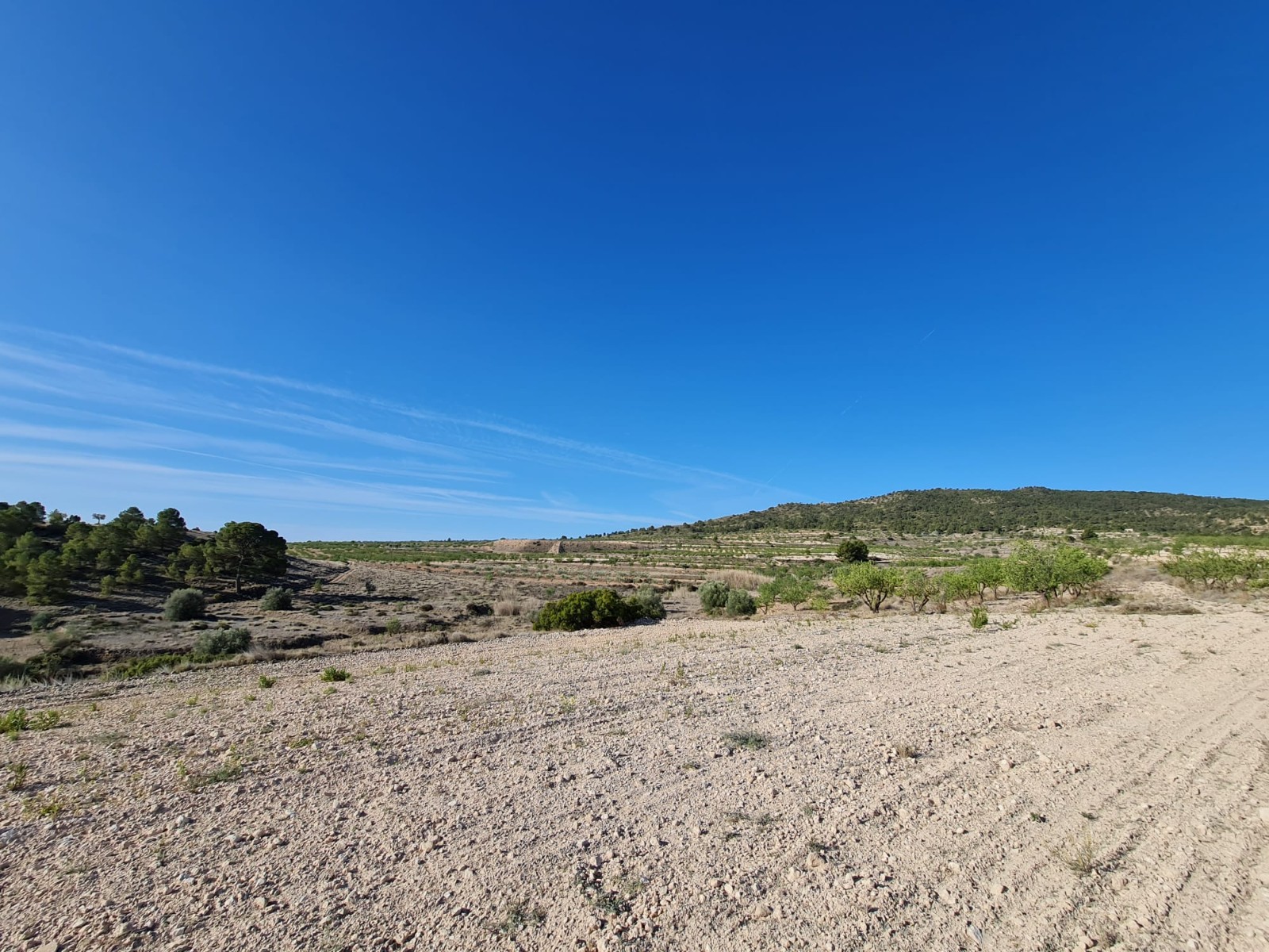 Explore the boundless possibilities of this vast plot of land nestled in the picturesque village of
