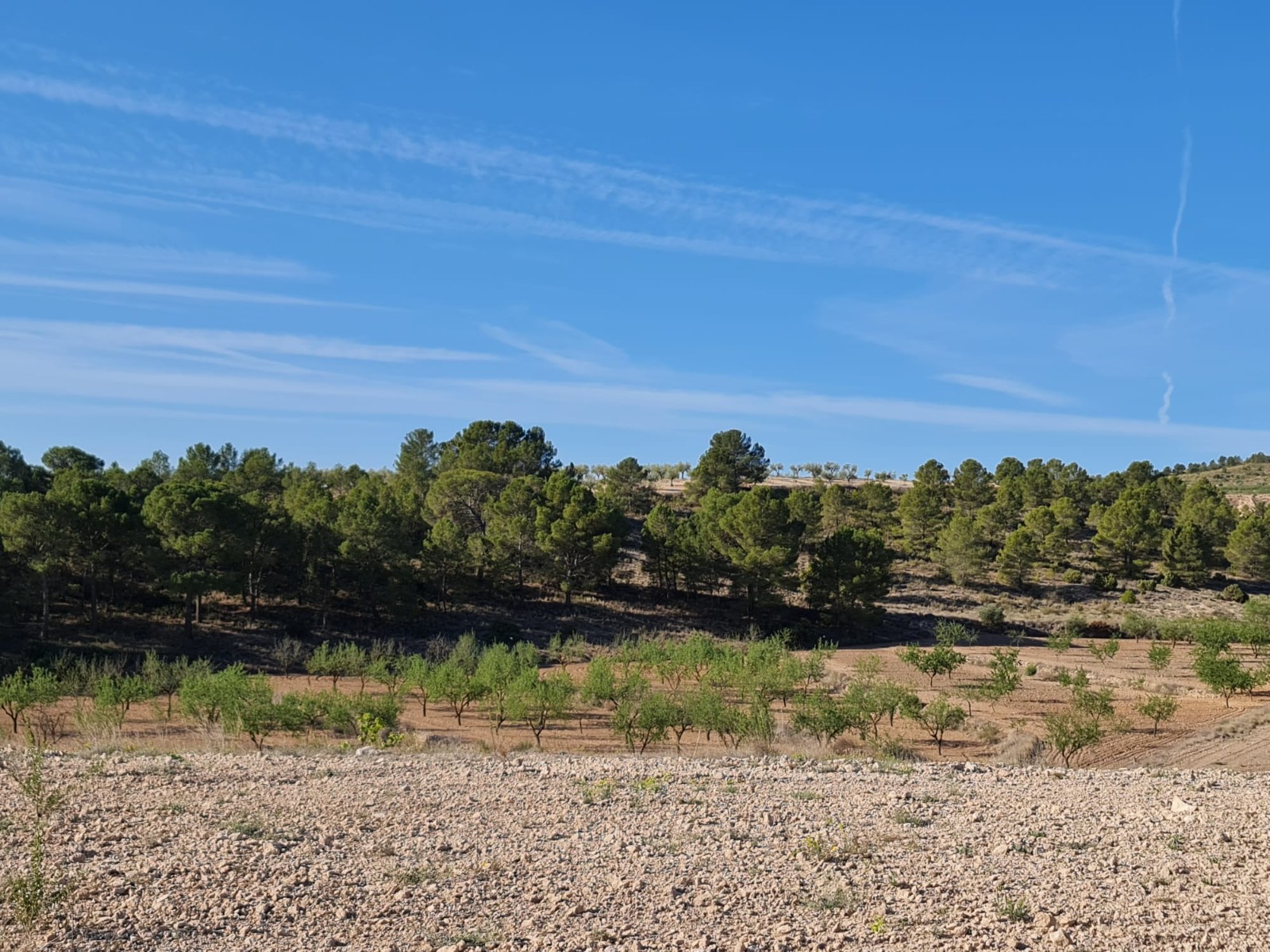 Exterior view in land for sale in Raspay