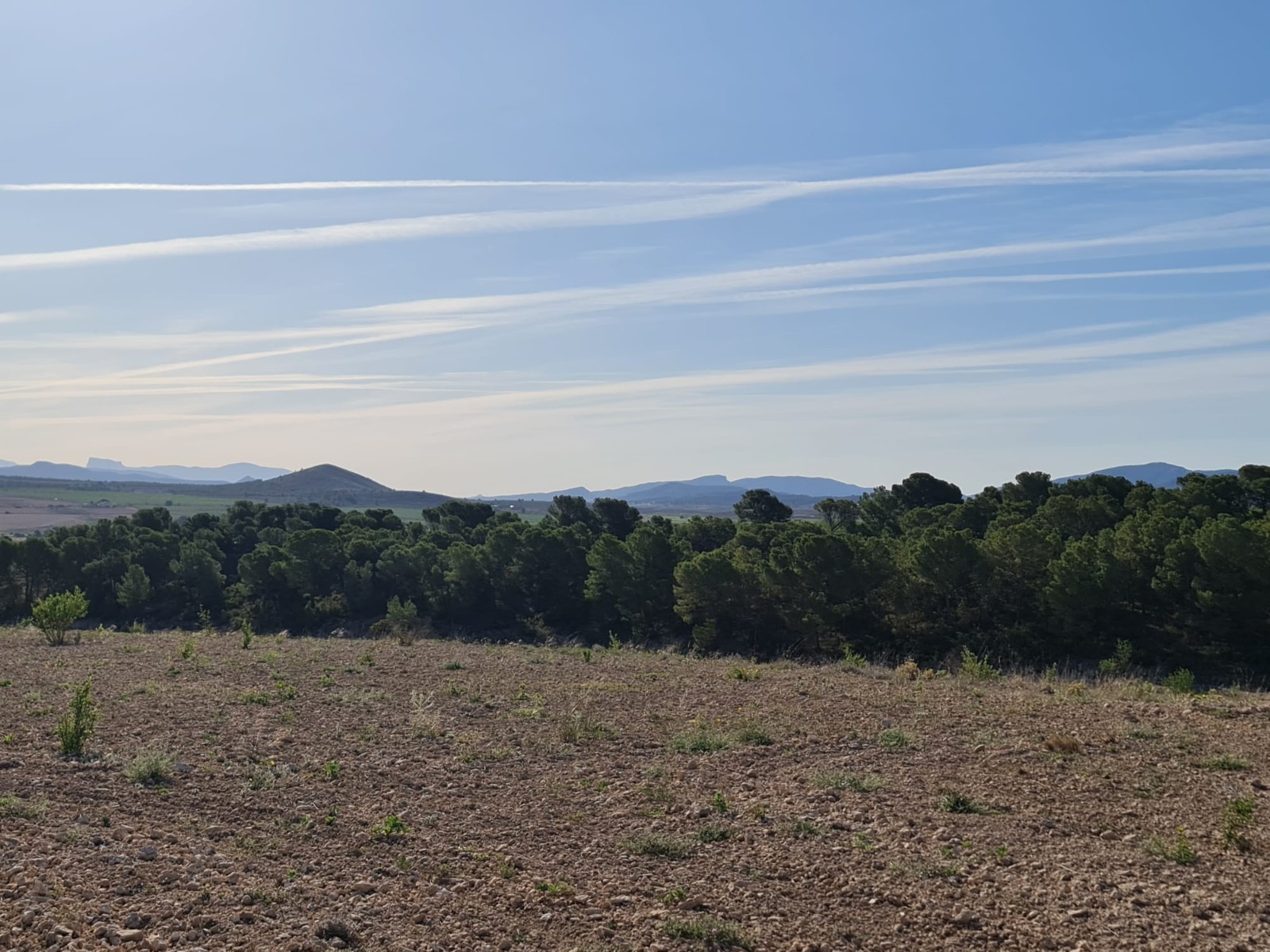 Terrace in land for sale in Raspay