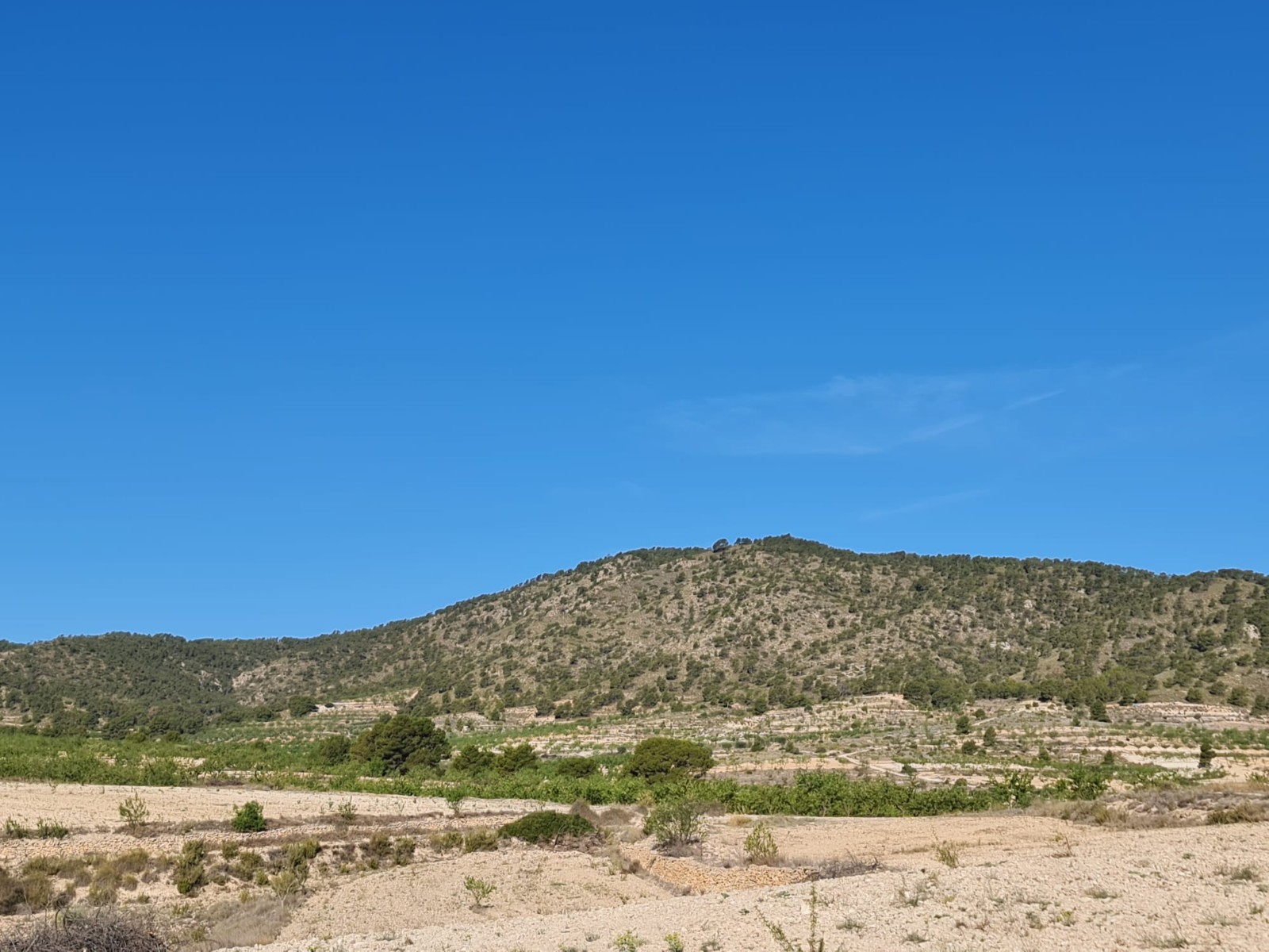 Terrace in land for sale in Raspay