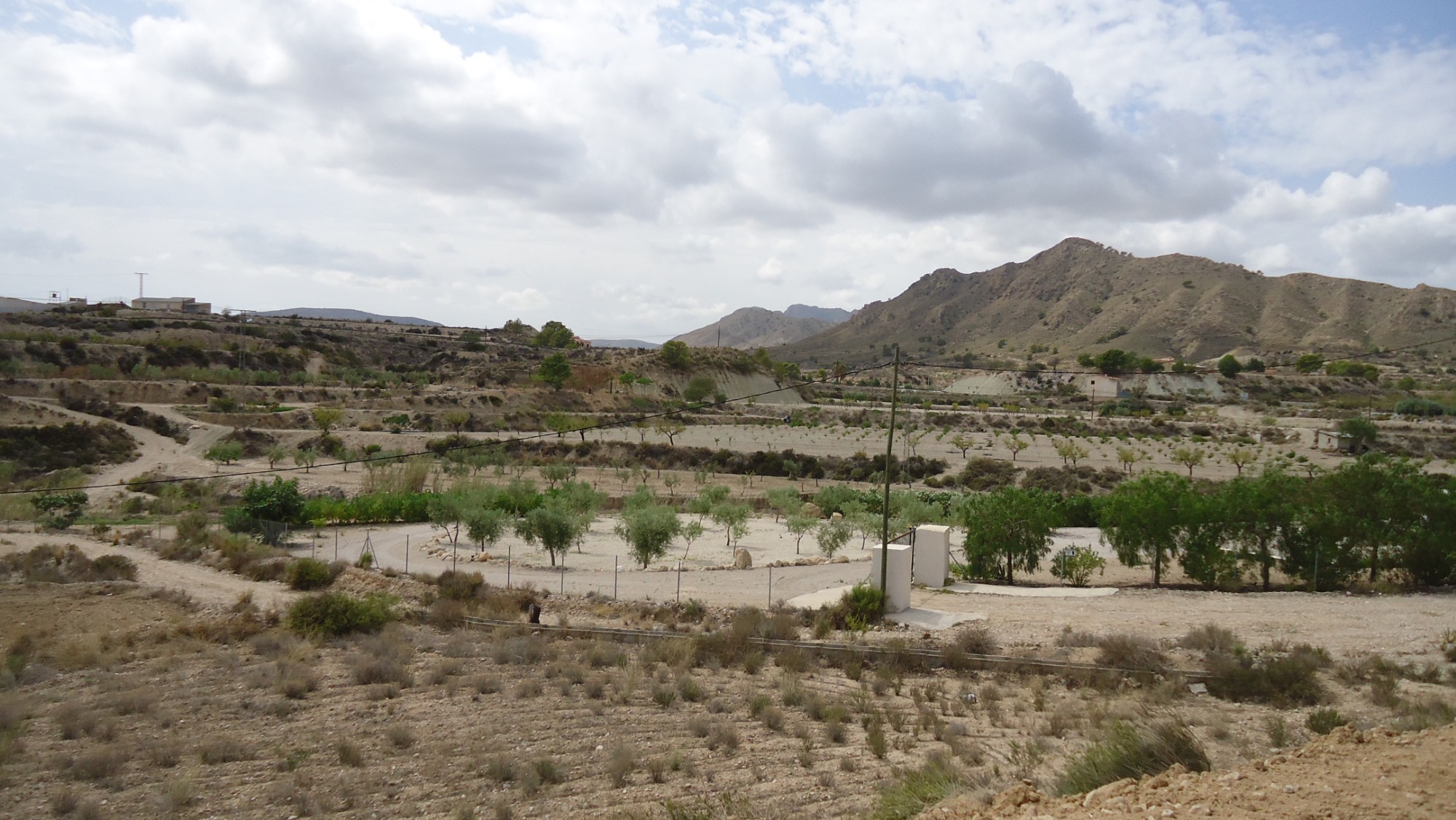 Garden in land for sale in Abanilla