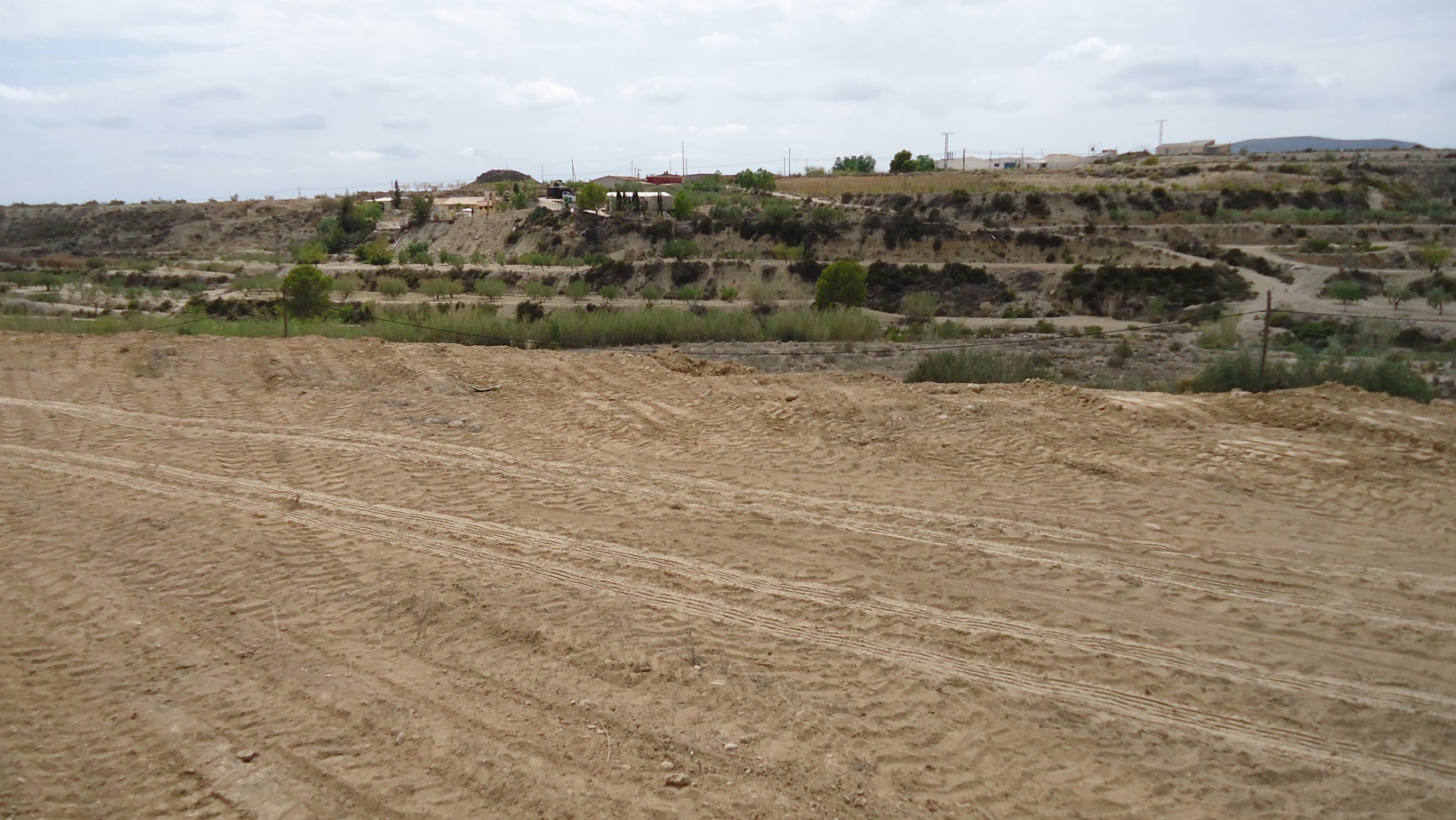 Garden in land for sale in Abanilla