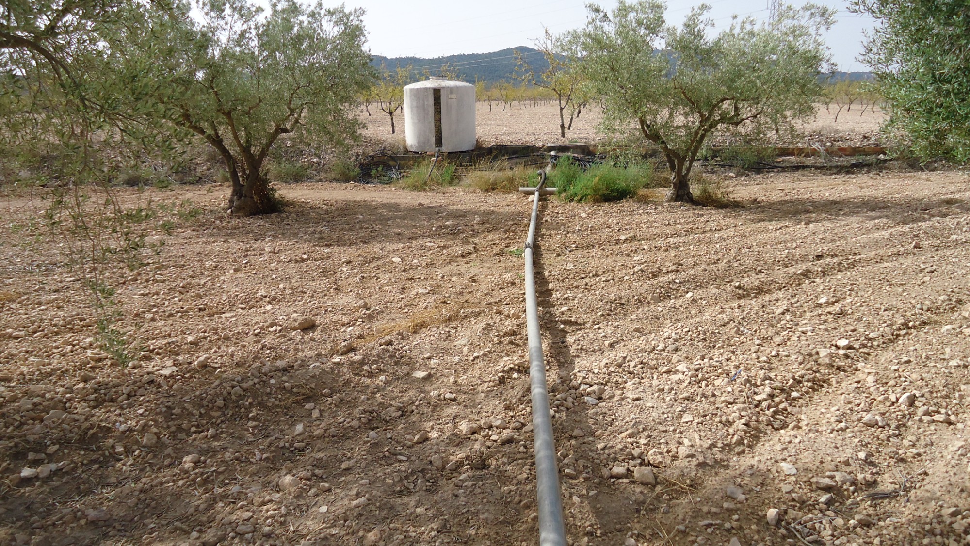 Exterior view in land for sale in Canada del Trigo