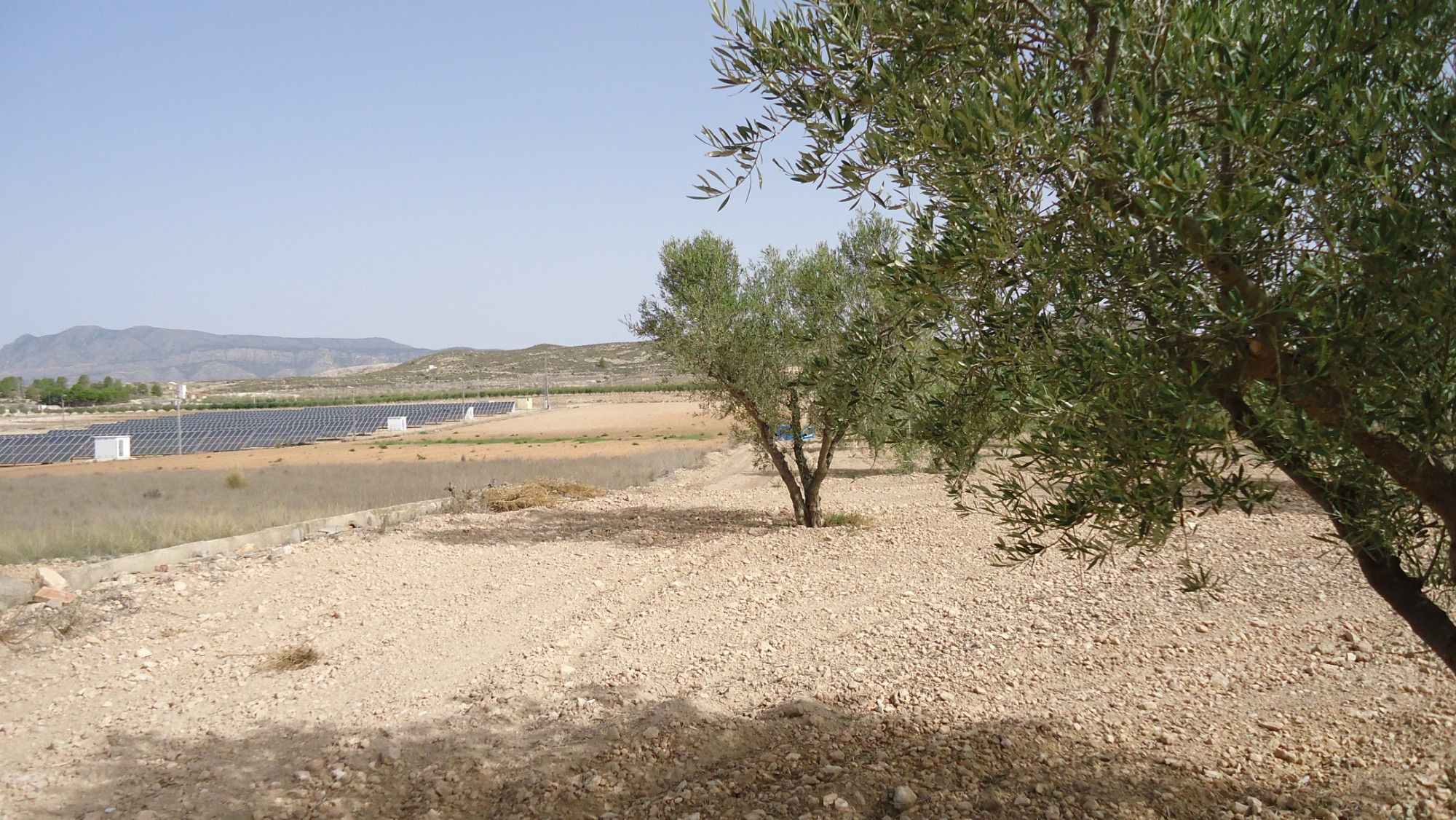 Terrace in land for sale in Canada del Trigo
