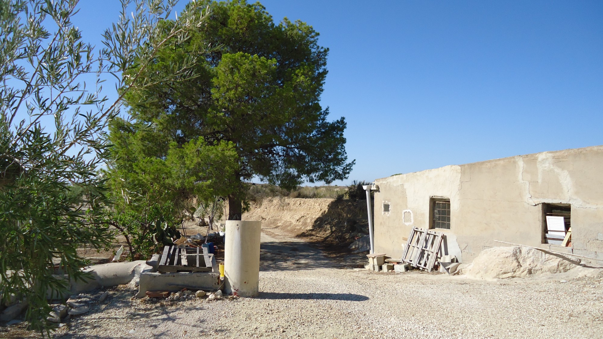Exterior view in land for sale in Abanilla