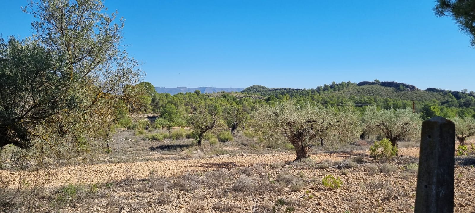 Discover the perfect opportunity to build your dream project on this expansive 15,469 m² plot of lan