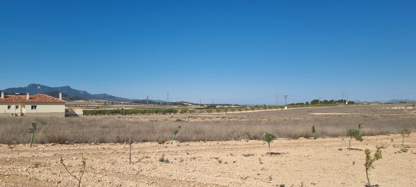Pool area in land for sale in Jumilla