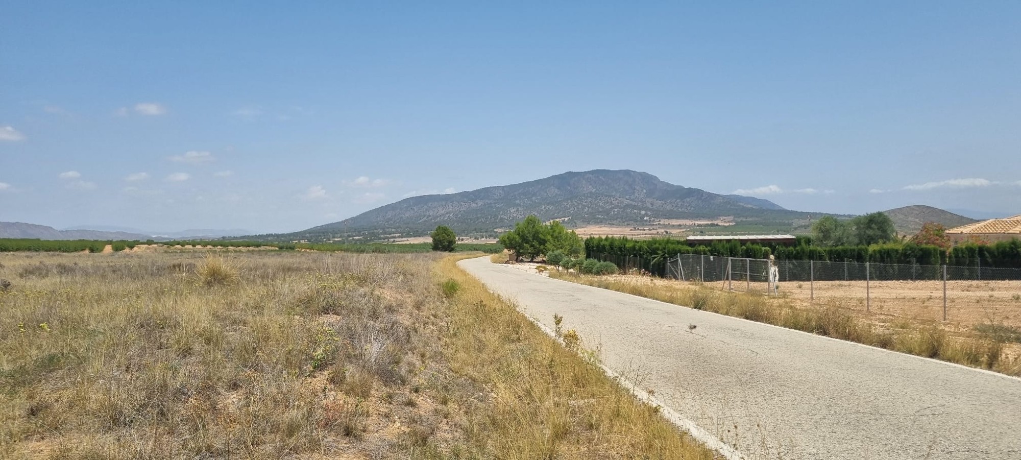 Terrace in land for sale in Yecla