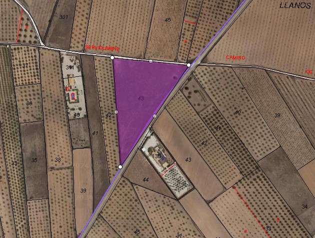 Pool area in land for sale in Yecla