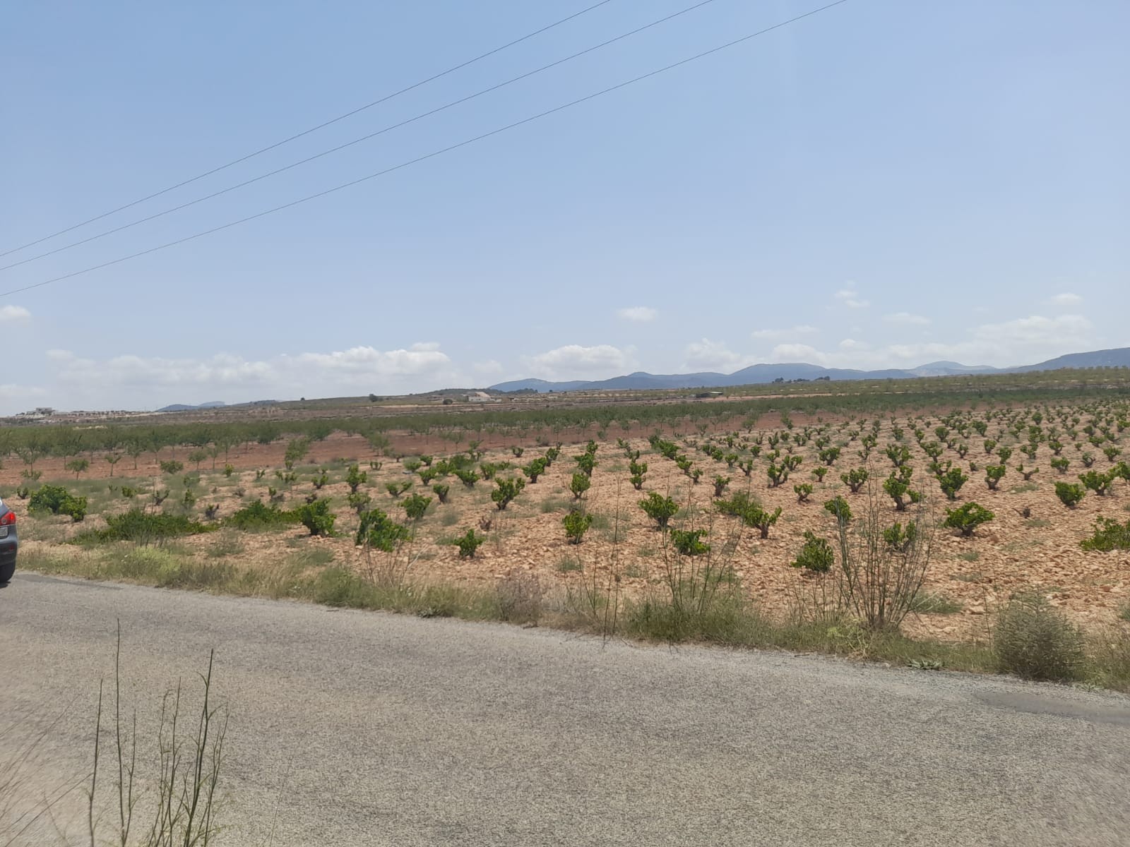 Lovely plot located approximately 5 minutes from the town of Pinoso offering beautiful views over th
