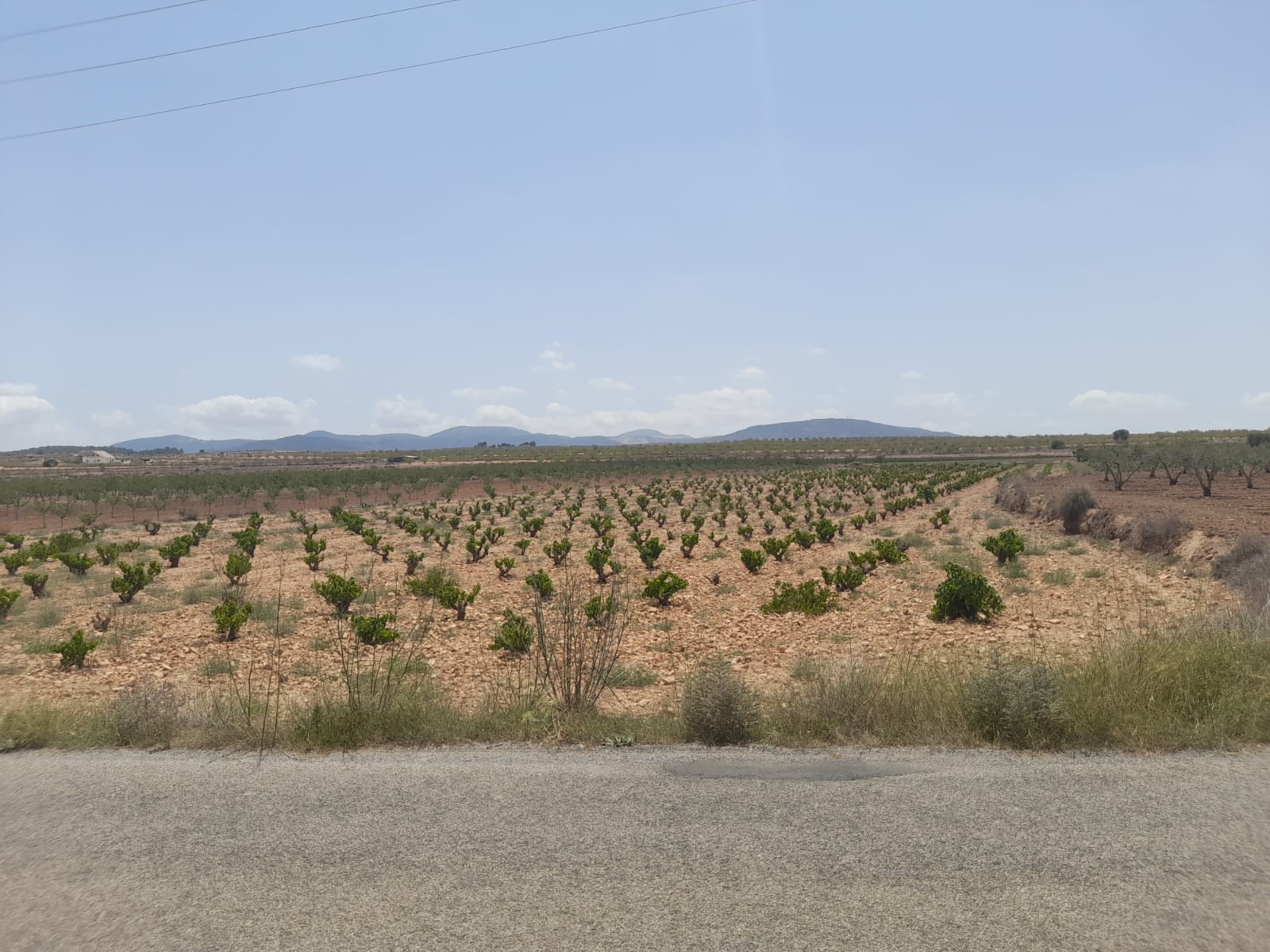 Lovely plot located approximately 5 minutes from the town of Pinoso offering beautiful views over th