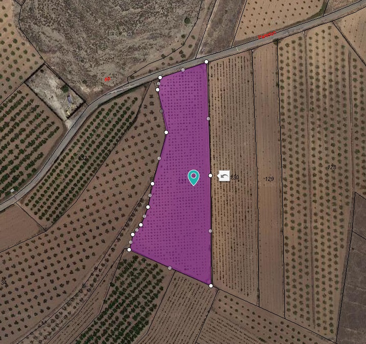 Pool area in land for sale in Pinoso