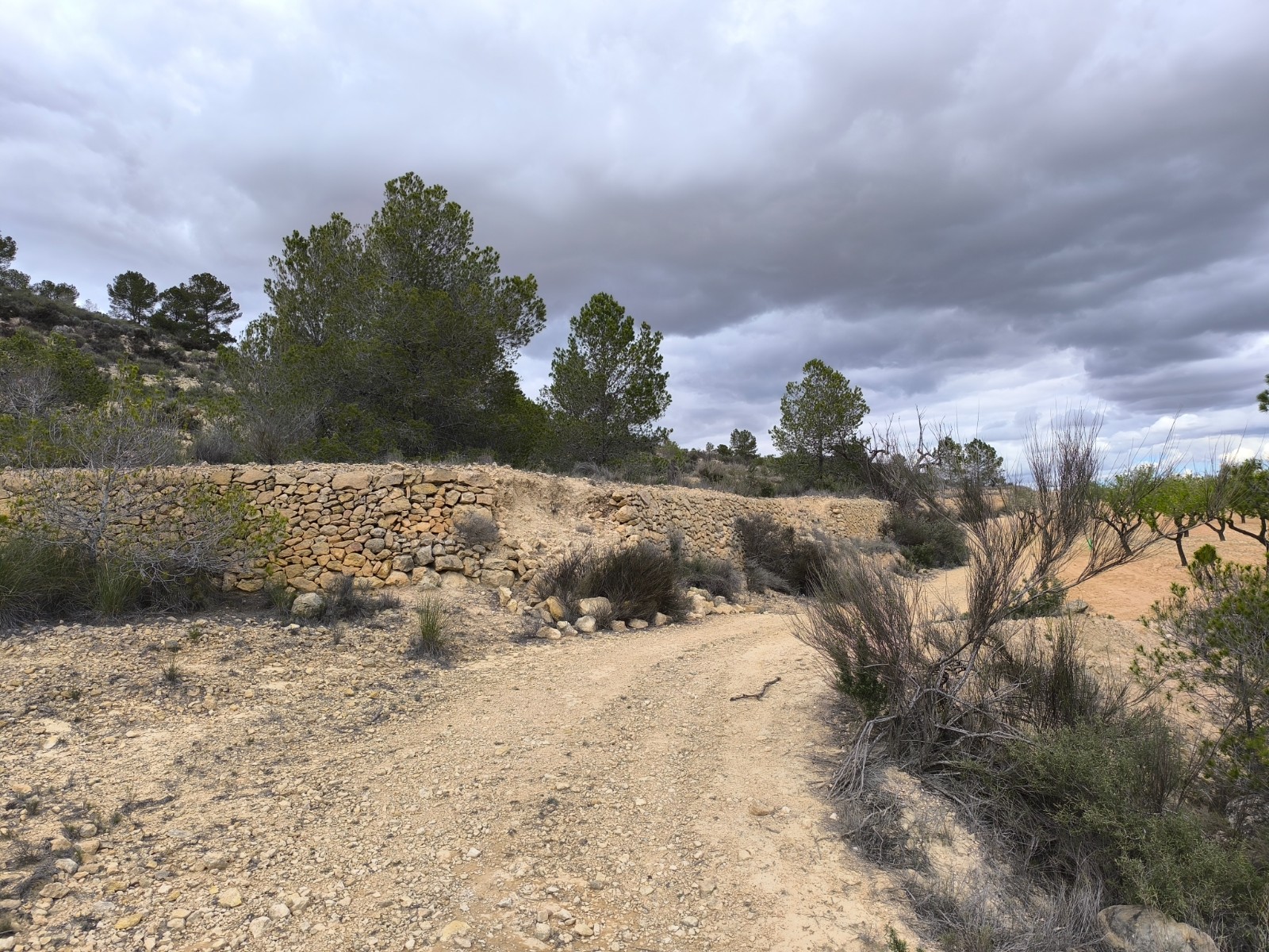 Lovely plot located approximately 5 minutes from the town of Pinoso offering beautiful views over th