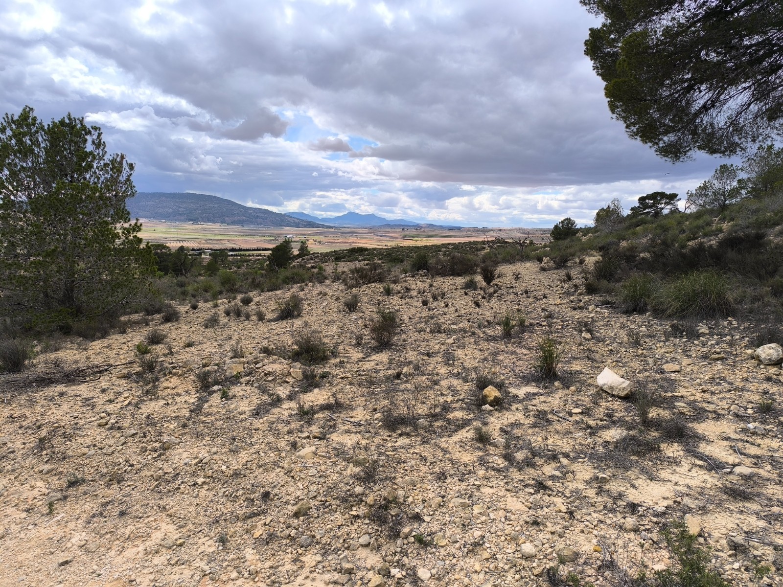 Lovely plot located approximately 5 minutes from the town of Pinoso offering beautiful views over th