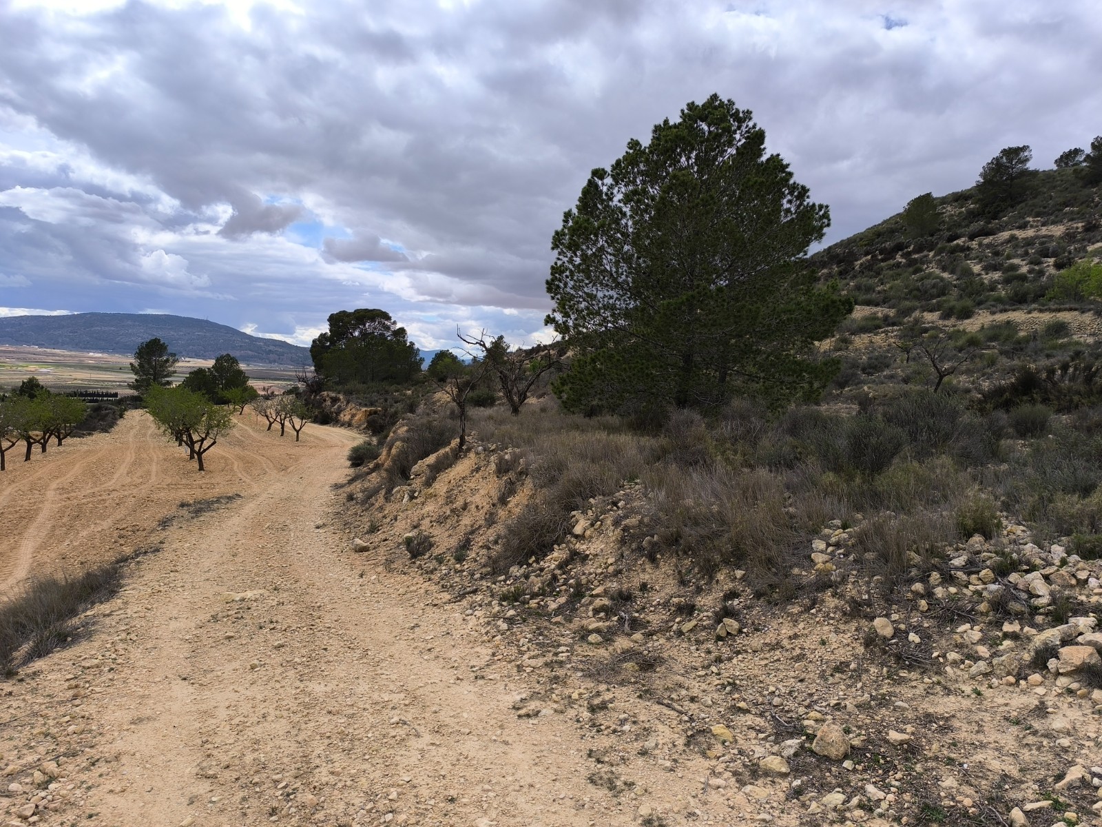 Lovely plot located approximately 5 minutes from the town of Pinoso offering beautiful views over th