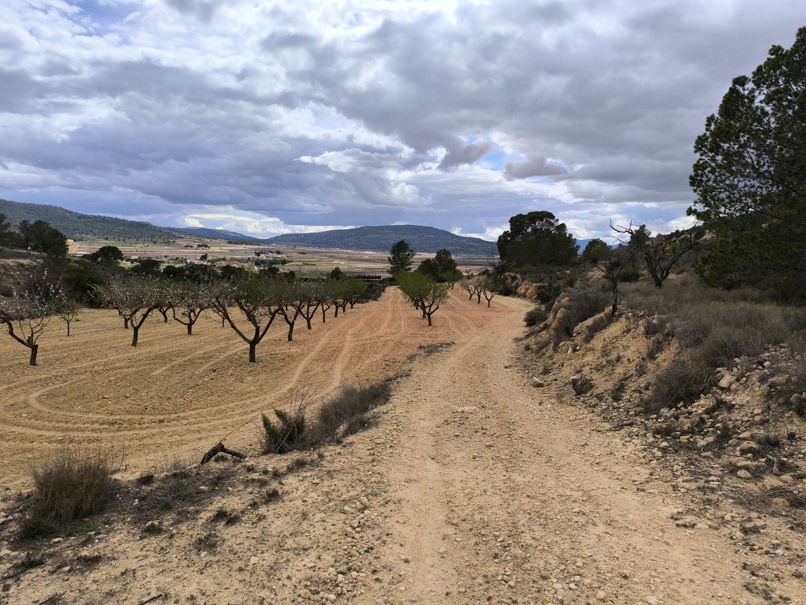 Terrace in land for sale in Pinoso
