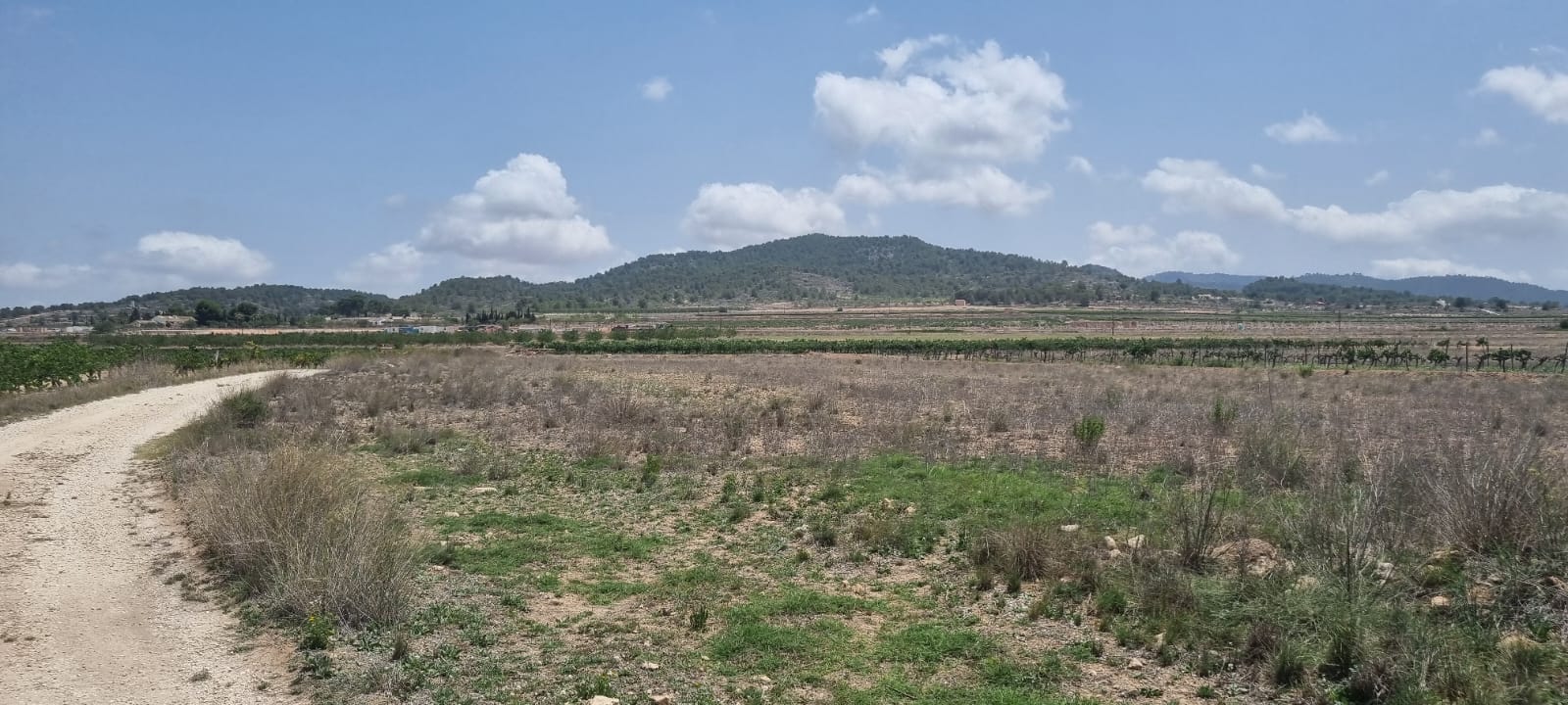 Lovely plot located approximately 5 minutes from the town of Pinoso offering beautiful views over th