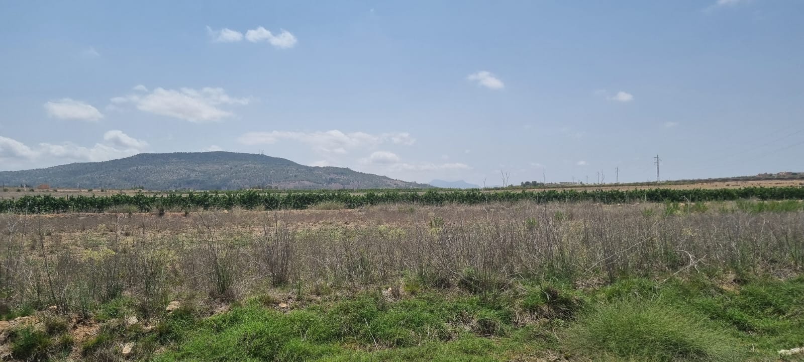 Lovely plot located approximately 5 minutes from the town of Pinoso offering beautiful views over th