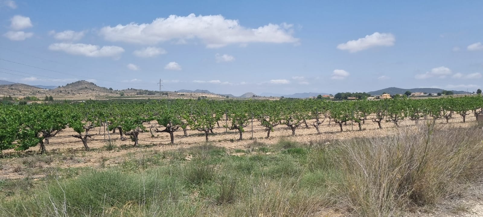 Lovely plot located approximately 5 minutes from the town of Pinoso offering beautiful views over th