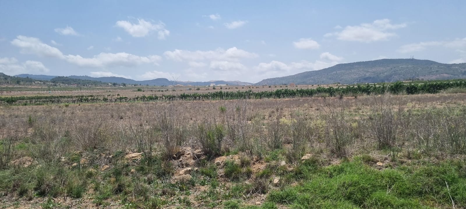 Lovely plot located approximately 5 minutes from the town of Pinoso offering beautiful views over th
