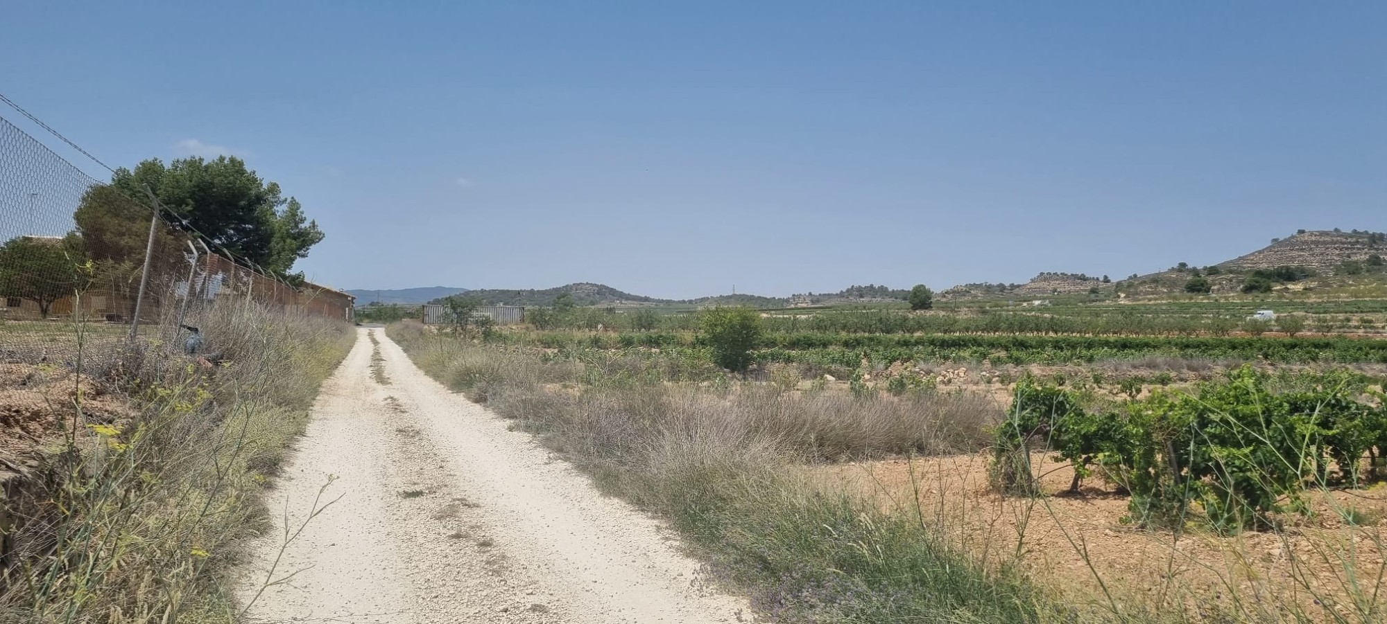 Lovely plot located approximately 5 minutes from the town of Pinoso offering beautiful views over th