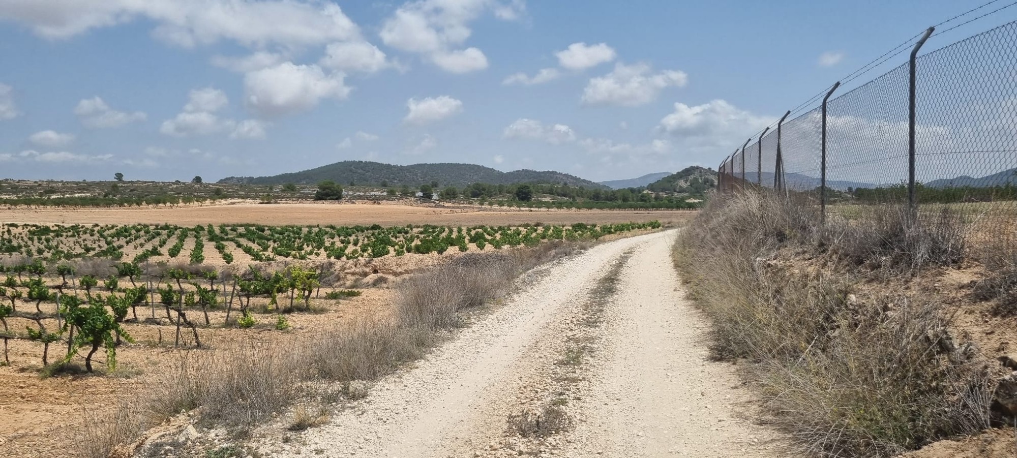 Lovely plot located approximately 5 minutes from the town of Pinoso offering beautiful views over th