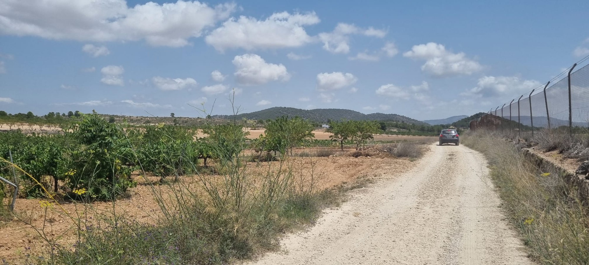 Terrace in land for sale in Pinoso