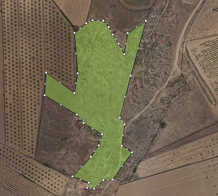 Ruimtelijk perceel in Pinoso met panoramisch uitzicht