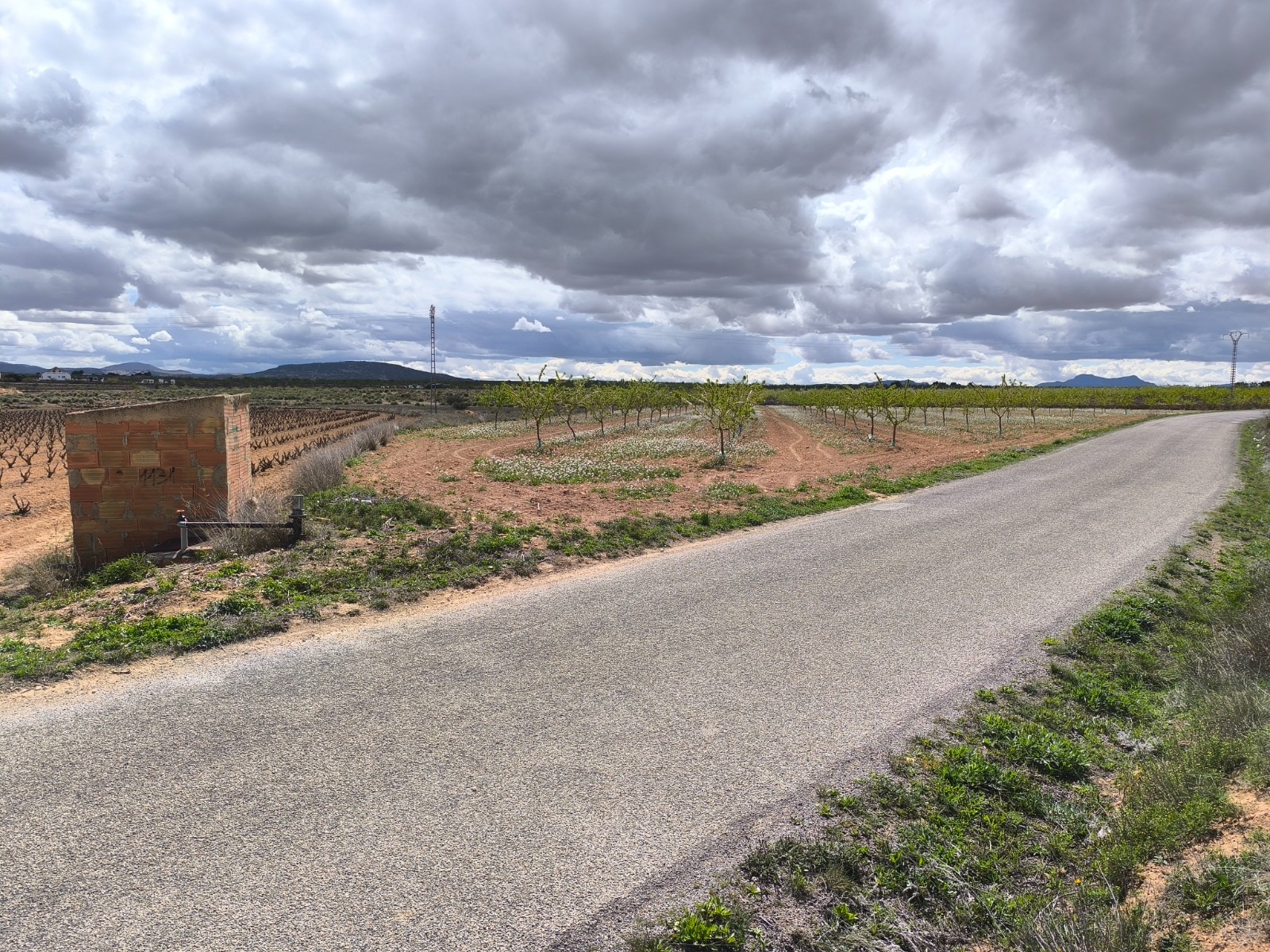 Ruimtelijk perceel in Pinoso met panoramisch uitzicht