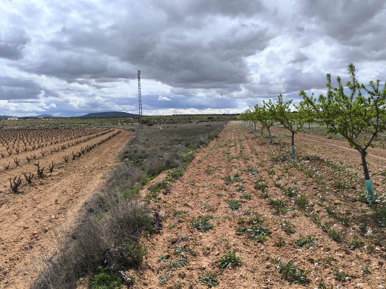 Ruimtelijk perceel in Pinoso met panoramisch uitzicht