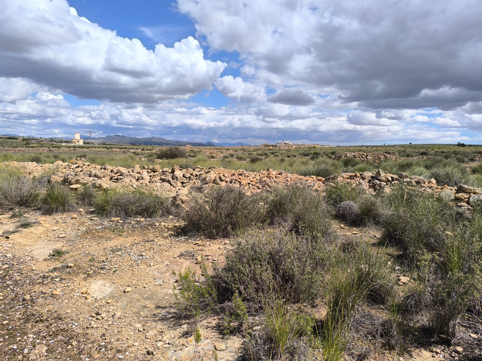 Terrace in land for sale in Pinoso