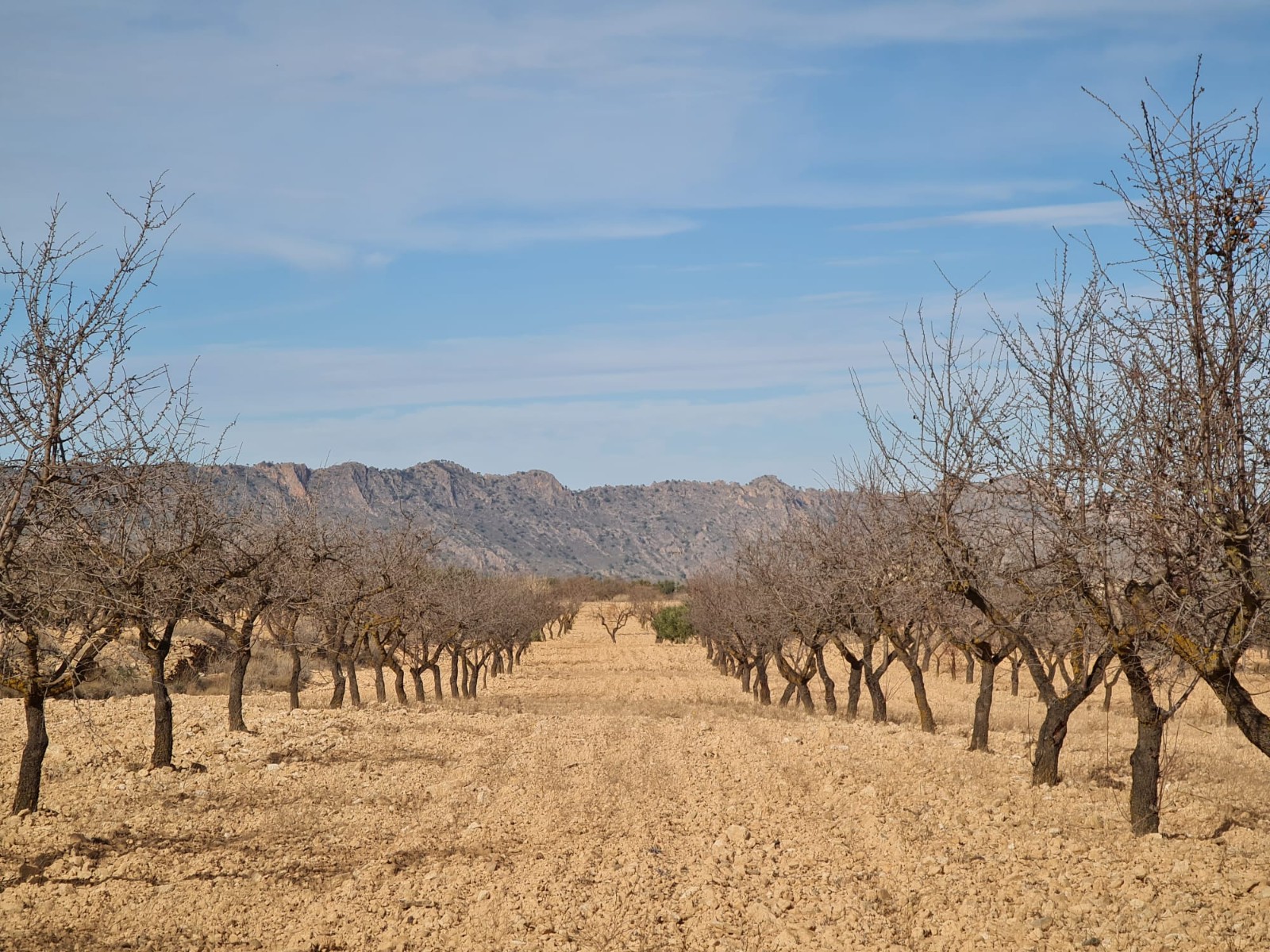 Beautiful plot of land for sale of 9,973 square metres