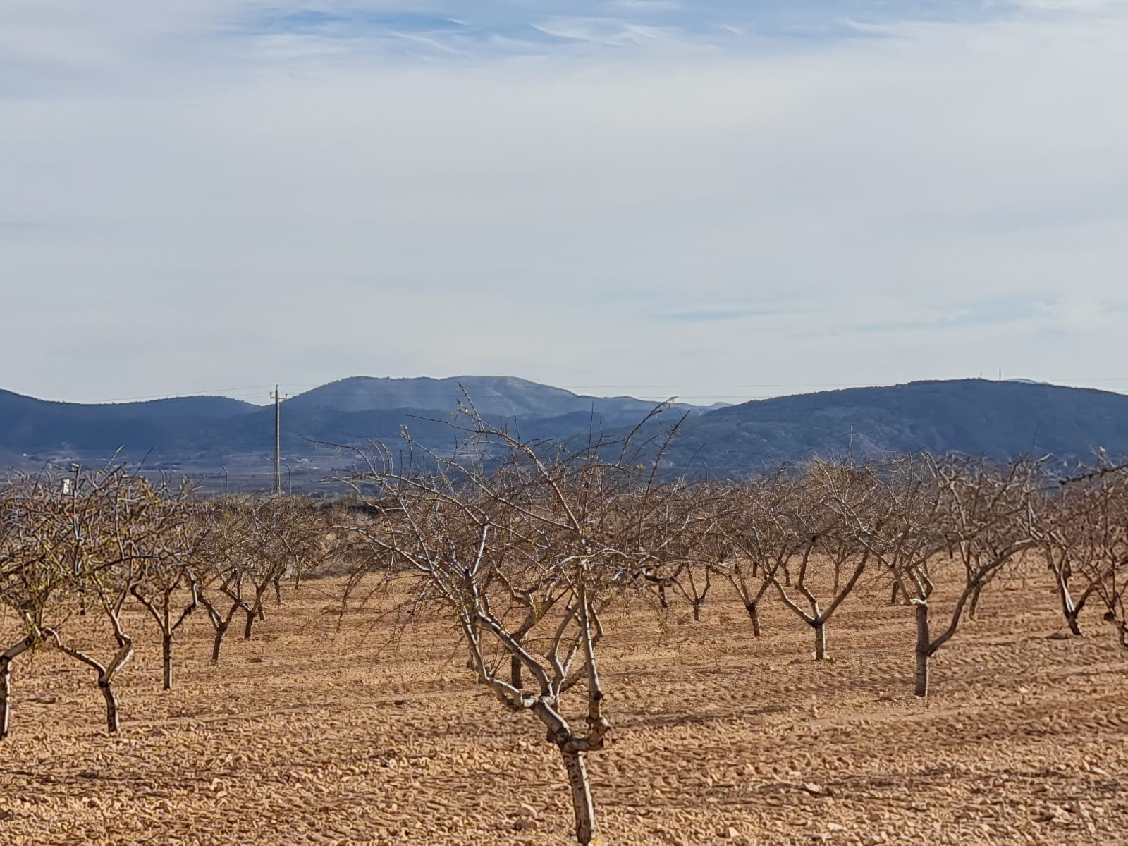 Beautiful plot of land for sale of 9,973 square metres