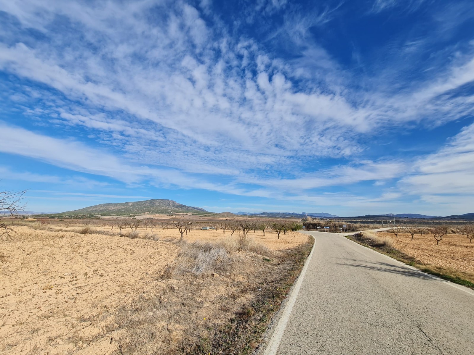 Beautiful plot of land for sale of 9,973 square metres