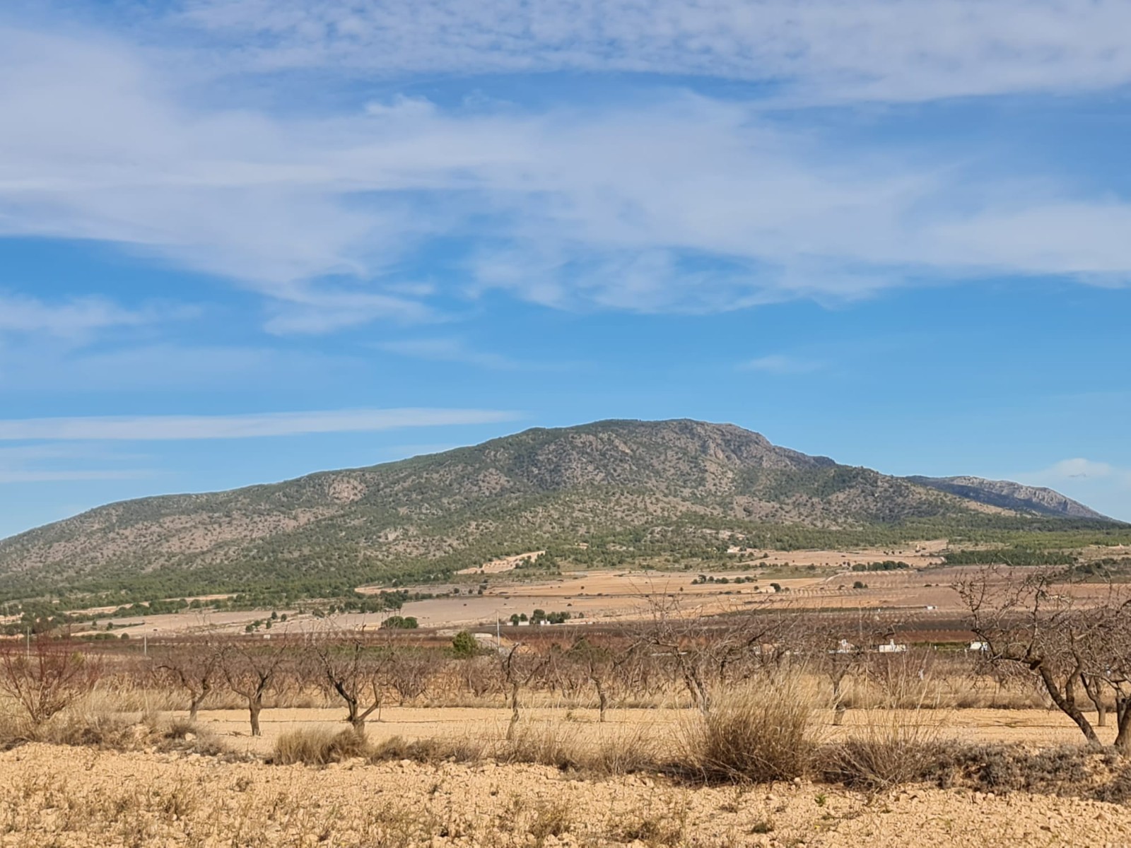 Terrace in land for sale in Raspay