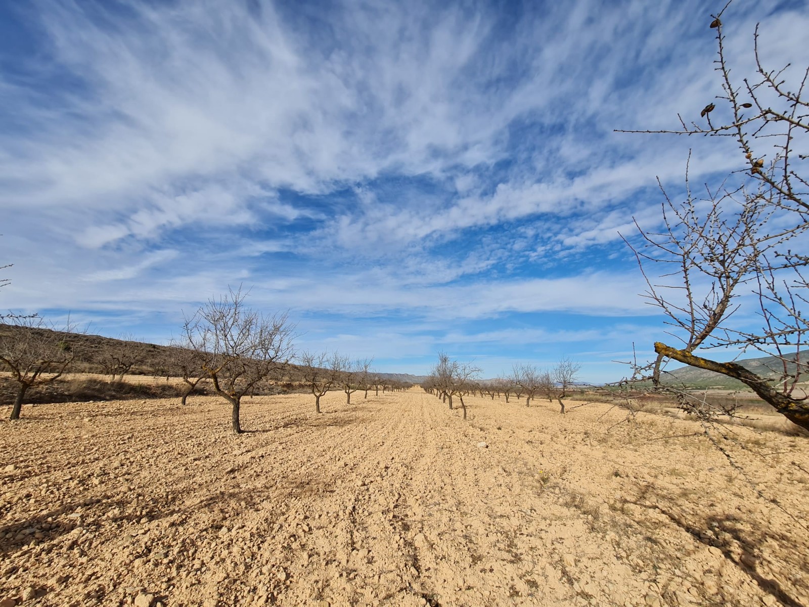 Garden in land for sale in Raspay