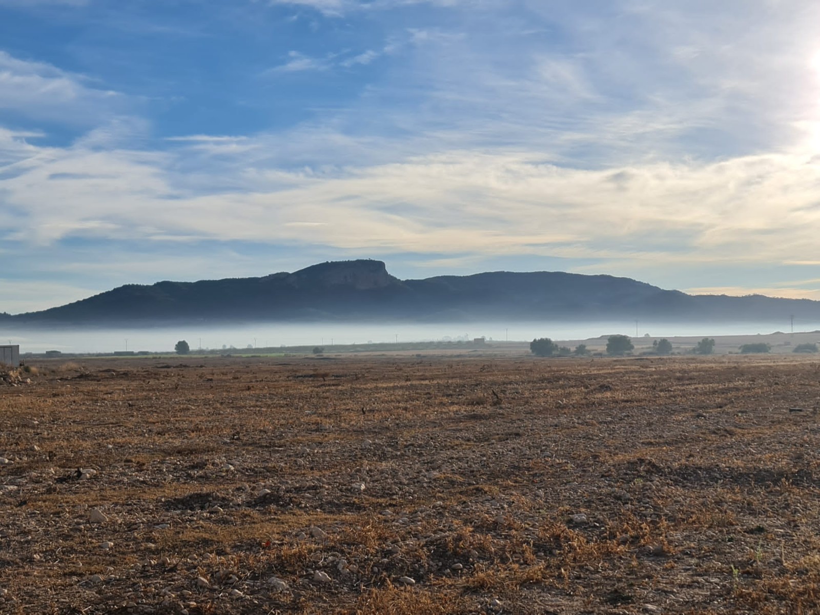 Discover the vast potential of this 40,000 square meter rustic land, offering a canvas for your visi