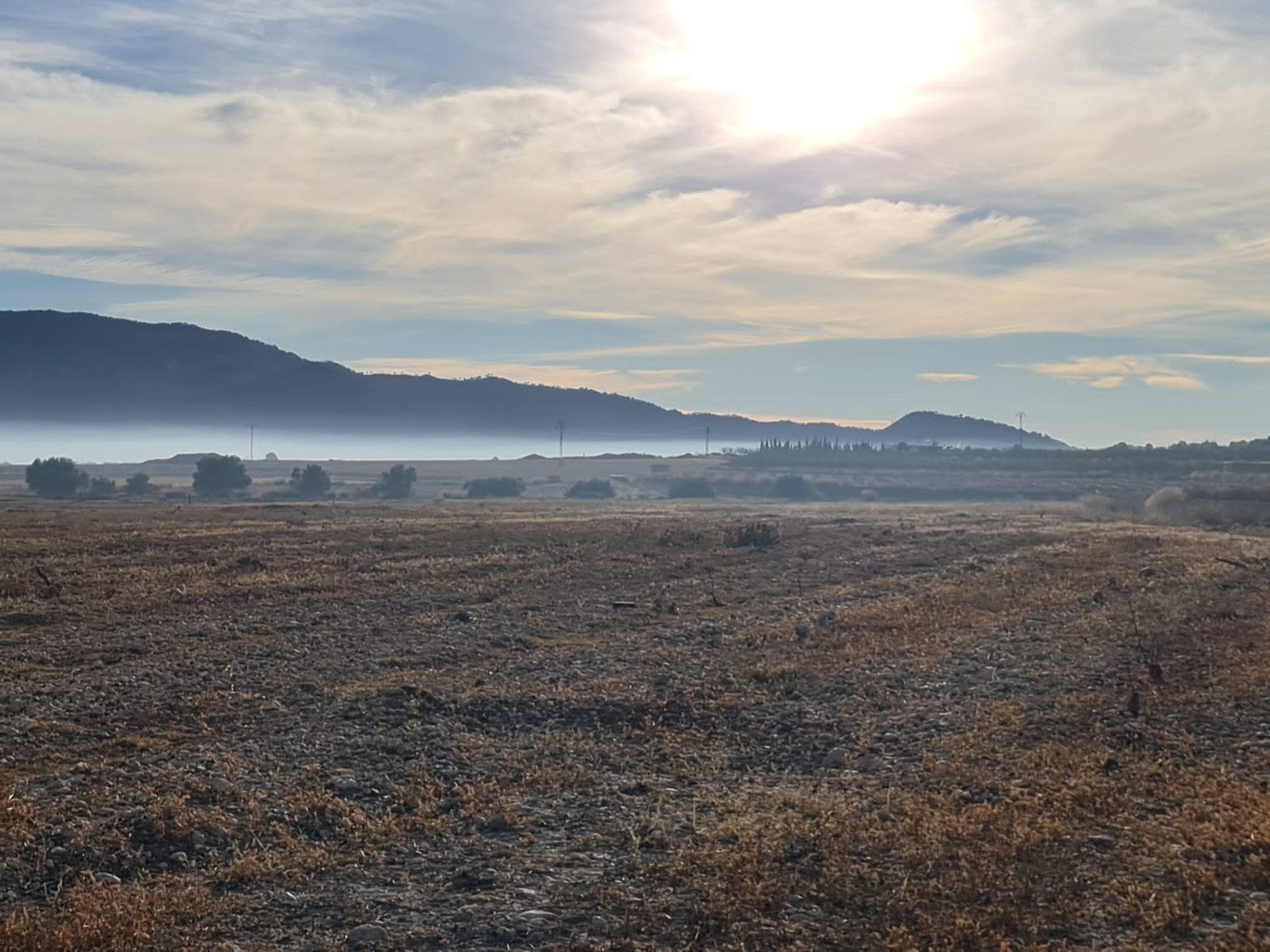 Discover the vast potential of this 40,000 square meter rustic land, offering a canvas for your visi