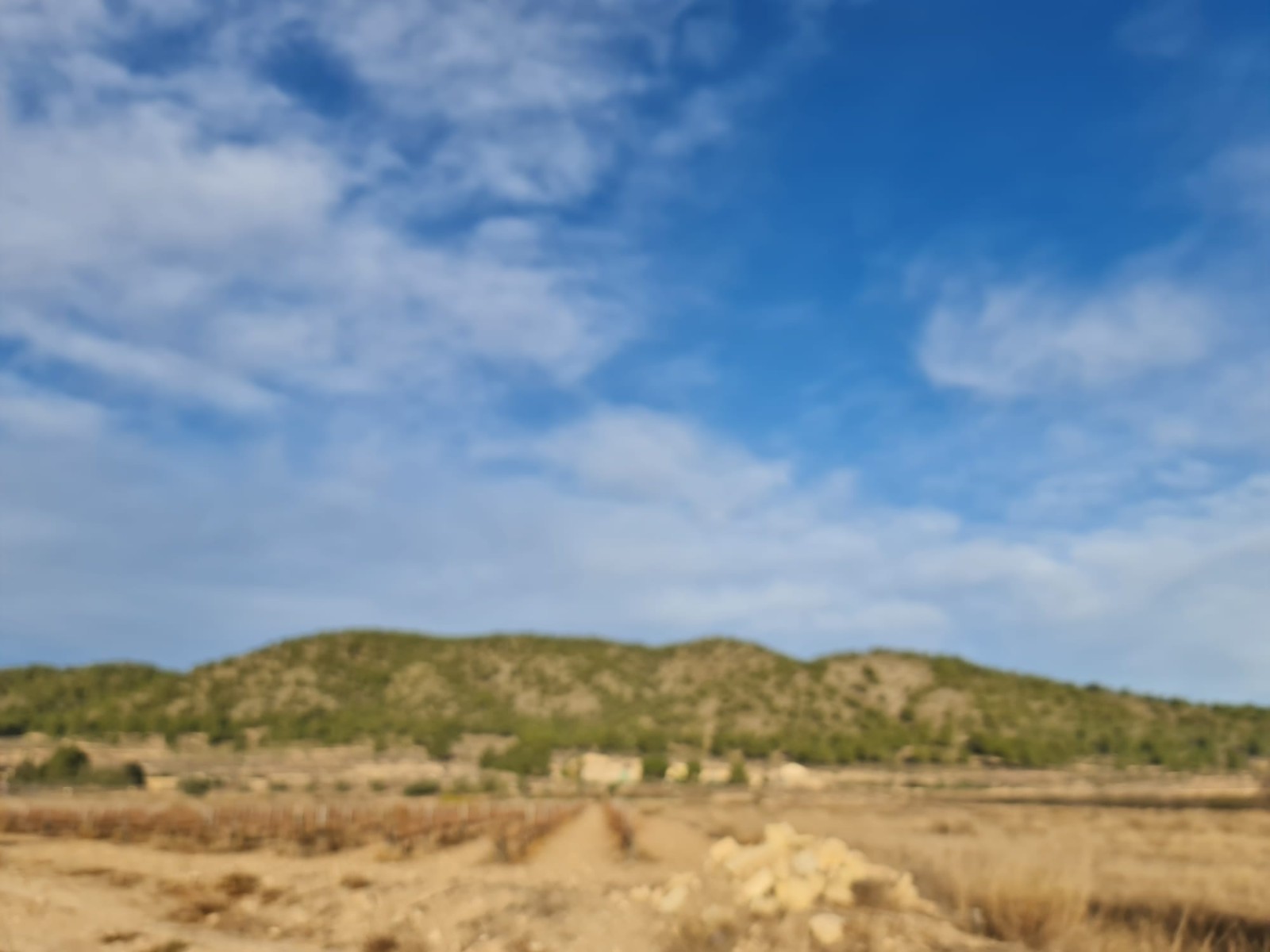 Terrace in land for sale in Monóvar/Monóver