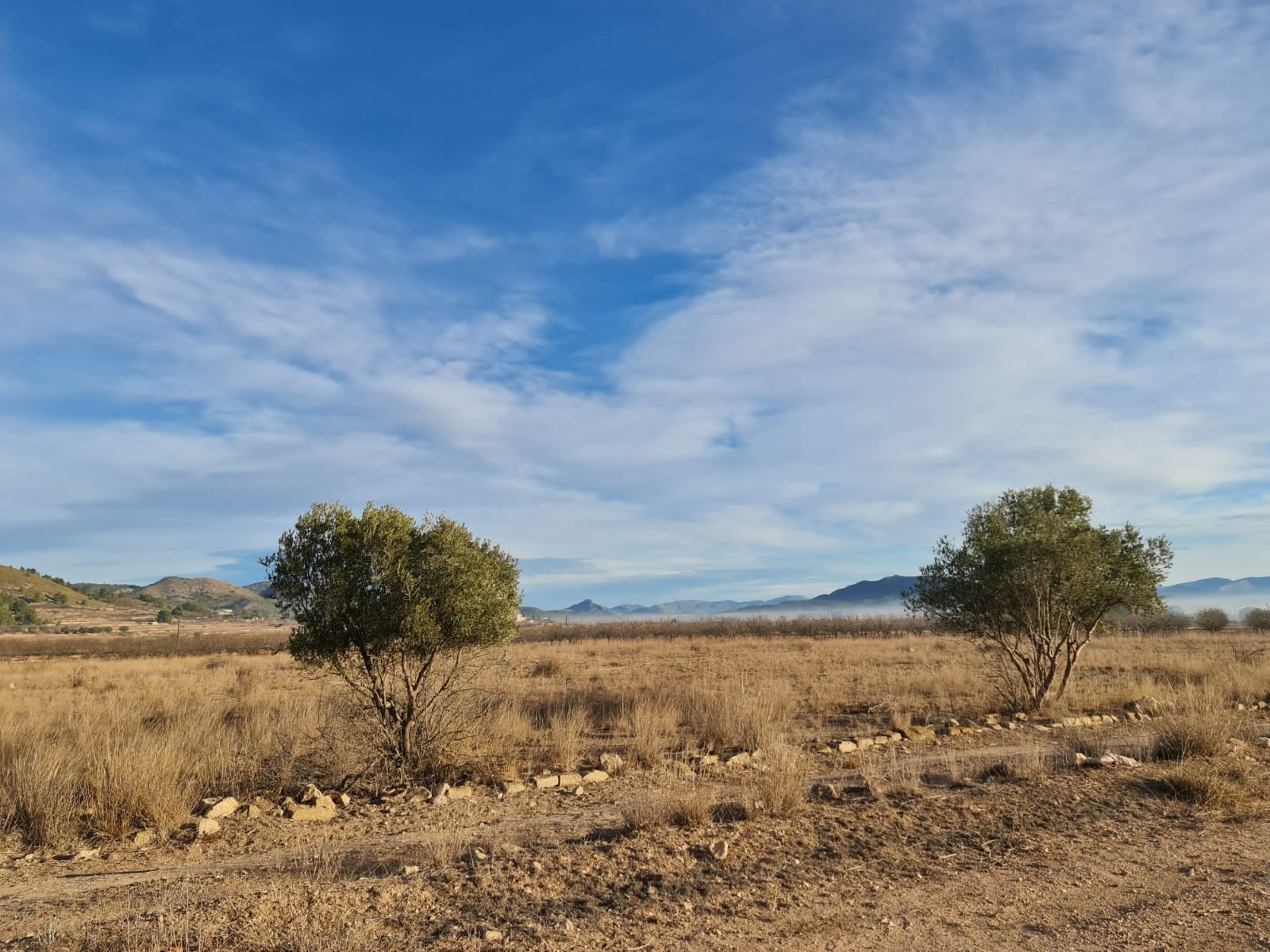 Dining area in land for sale in Monóvar/Monóver