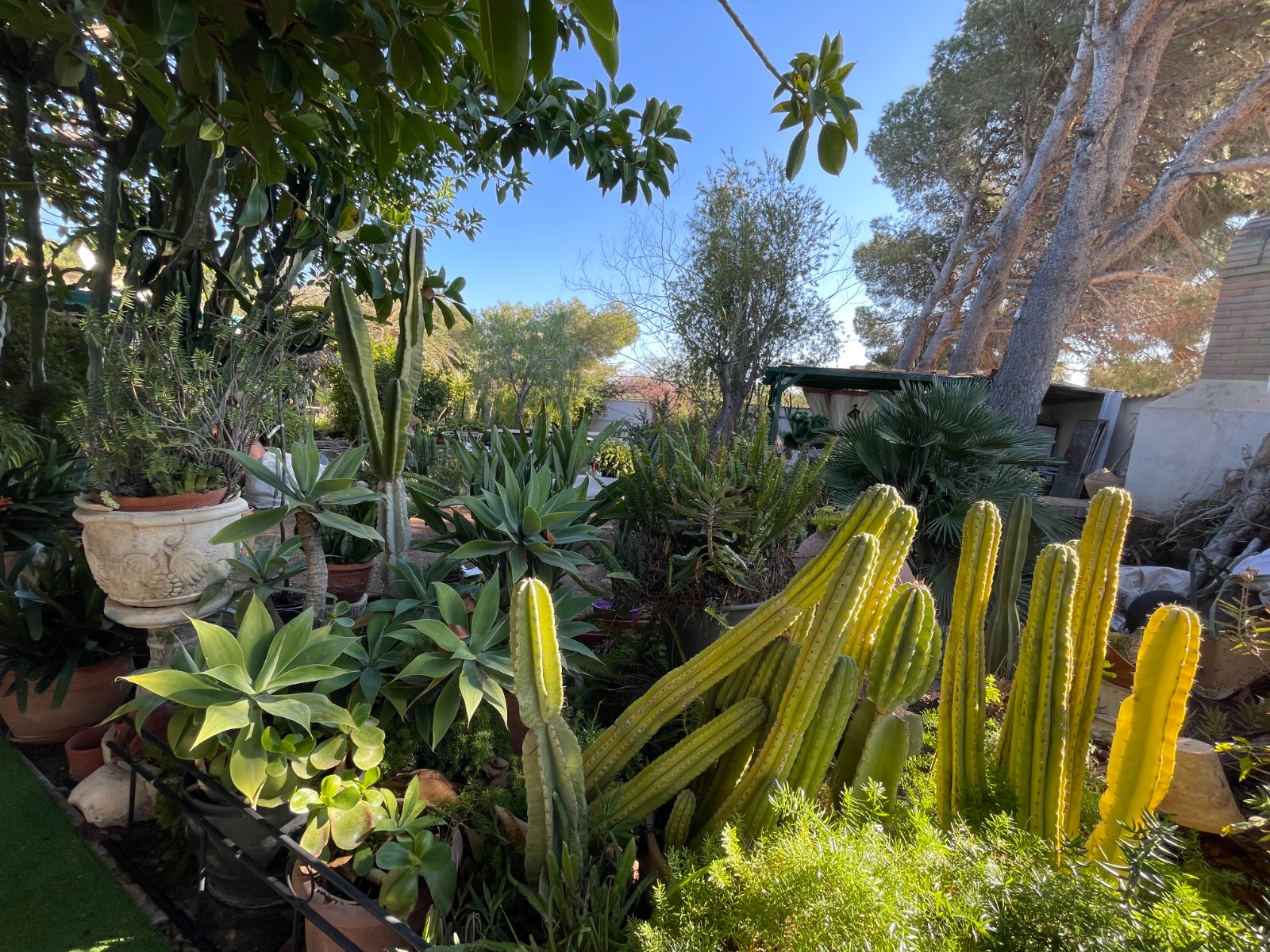 Pool area in villa for sale in Orihuela Costa