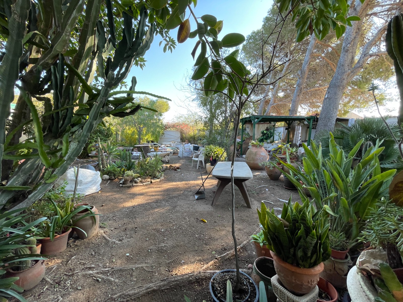 Garden in villa for sale in Orihuela Costa