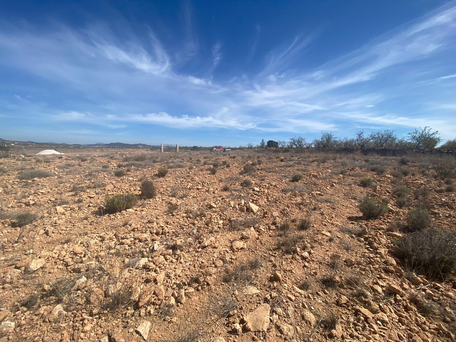Exterior view in land for sale in Pinoso
