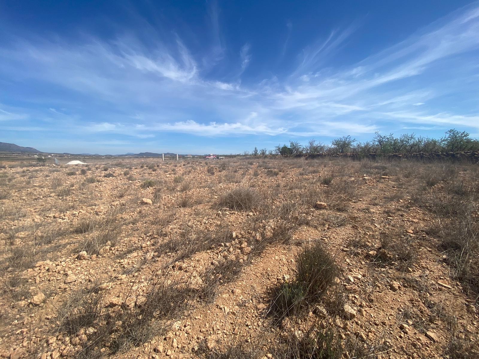 Living room in land for sale in Pinoso